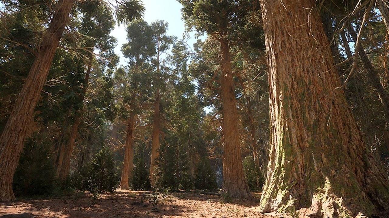 Unreal engine 5.1 zum selberspielen: so umwerfend sieht die redwood-forest-demo aus