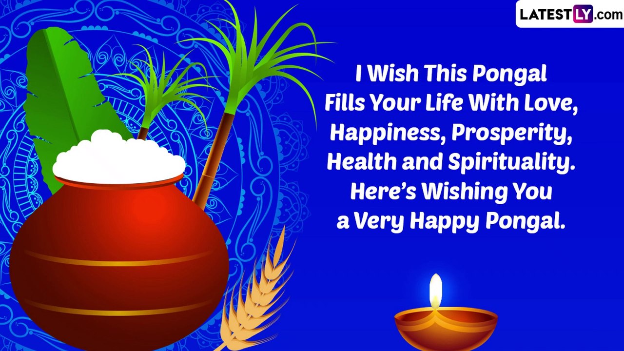 Thai Pongal 2023 Greetings and Images: Share Wishes To Celebrate the South Indian Festival