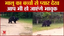 Chhattisgarh : देखिए किस तरह पीठ पर बच्चों को बिठाकर जंगल की सैर करा रहा था भालू, कैमरे में हुआ कैद