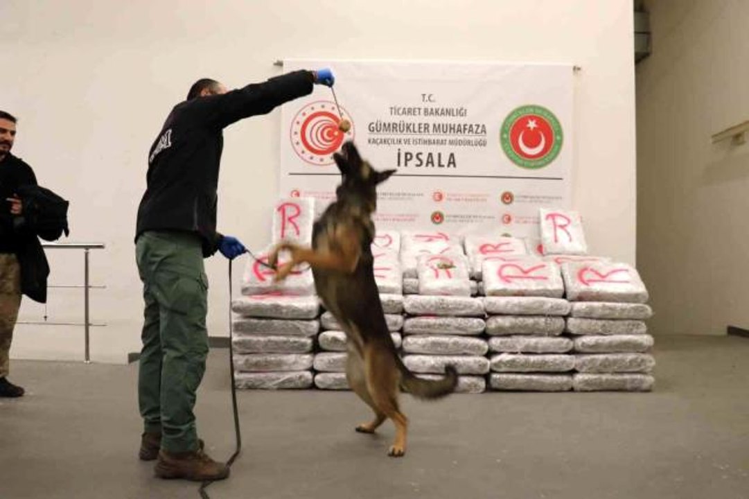 Yunanistan'dan Türkiye'ye giriş yapan tırda 603 kilo 500 gram skunk ele geçirildi