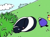 Peep and the Big Wide World Peep and the Big Wide World S01 E003 A Duck’s Tale