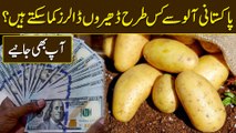 Pakistani Aalu se kis trah dhero dollars kama saktay hain? Aap b janiye