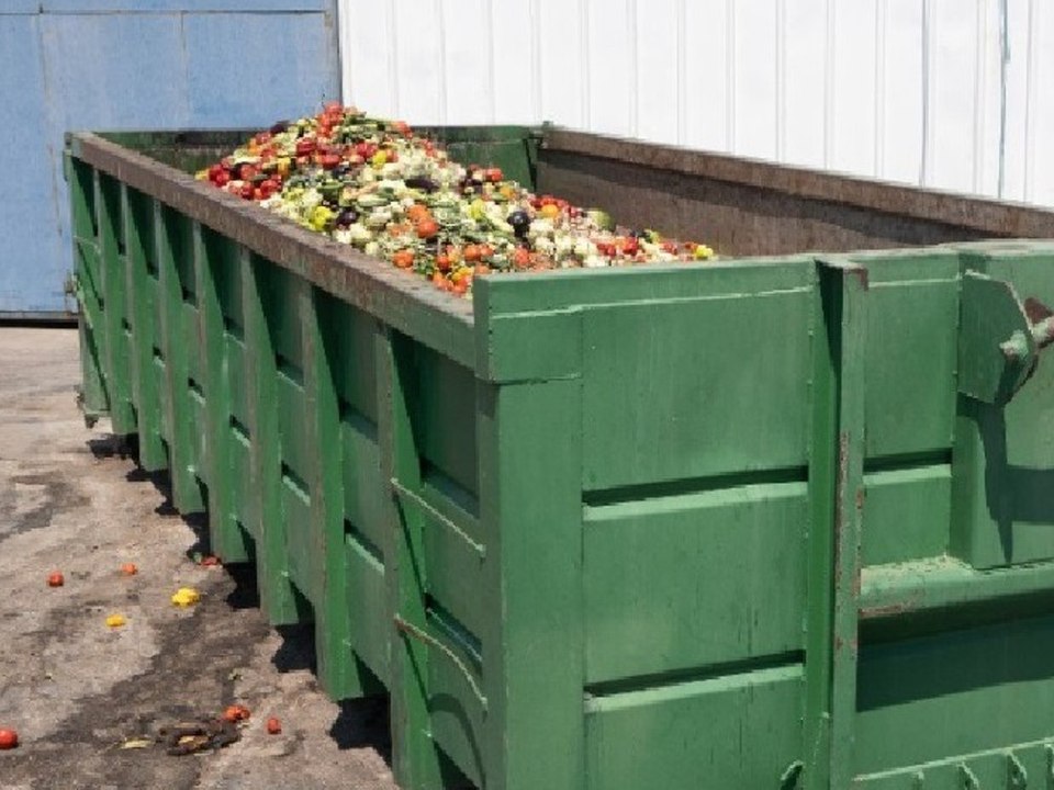 FDP und Grüne wollen Strafen für 'Containern' mindern
