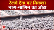 Lakhimpur khiri: रेलवे ट्रैक पर निकला नाग-नागिन का जोड़ा | UP News