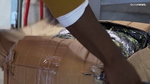 Mais de 100 toneladas de cocaína apreendidas no porto de Antuérpia em 2022, um novo recorde