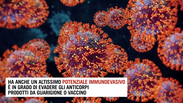 Covid, cosa sappiamo della variante Kraken: origine, contagiosità, protezione