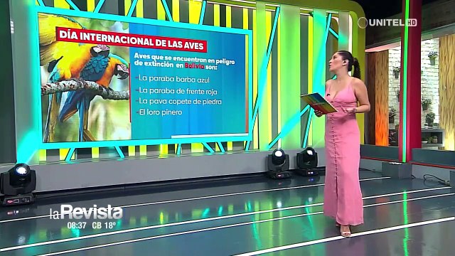 Día internacional de las Aves: Promueven su preservación y piden evitar su cautiverio 