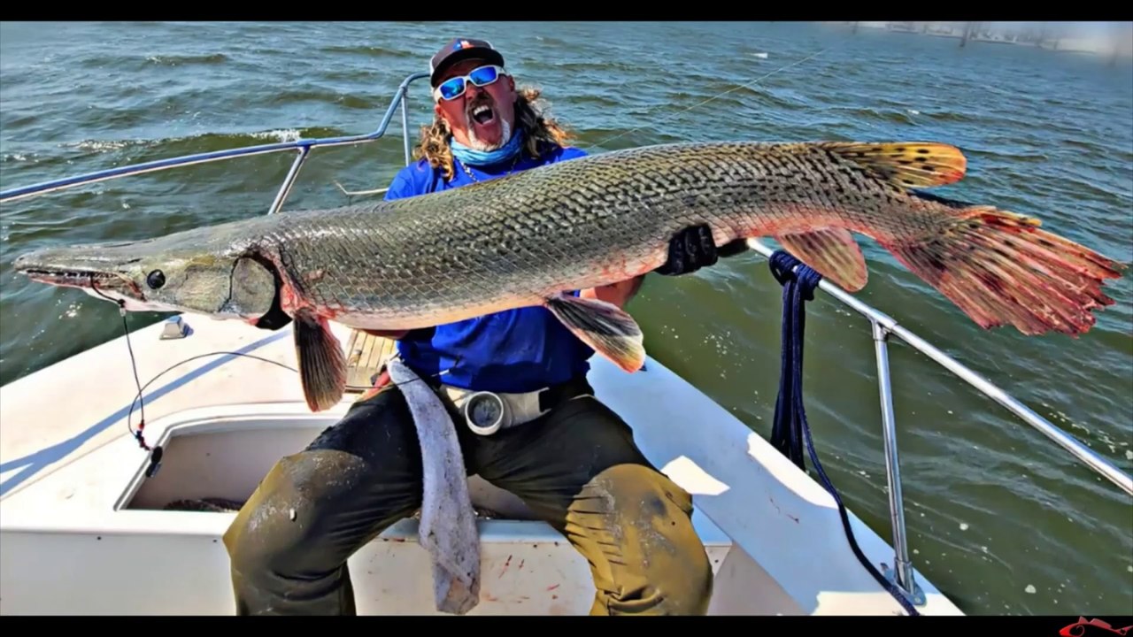 AMAZING FISHING GET BIG FISH  #BIGFISH #FISHING #FISH,