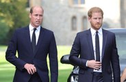 Prinz Harry: William aggressiv bei Prinz Philips Beerdigung