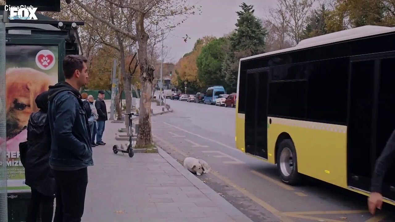 مسلسل حكاية خرافية الحلقة 7 السابعة مترجمة