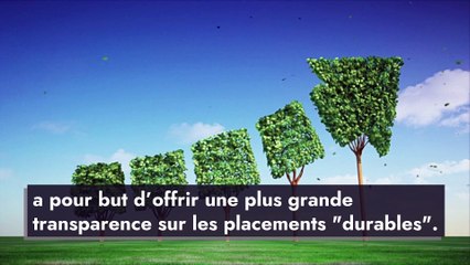 Finance durable : qu’est-ce que le règlement SFDR ?