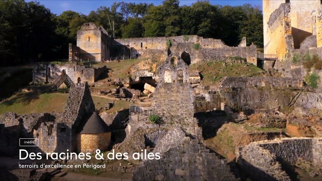 Teasing de l'émission Des racines et des ailes consacrée à la Dordogne ce mercredi 11 janvier