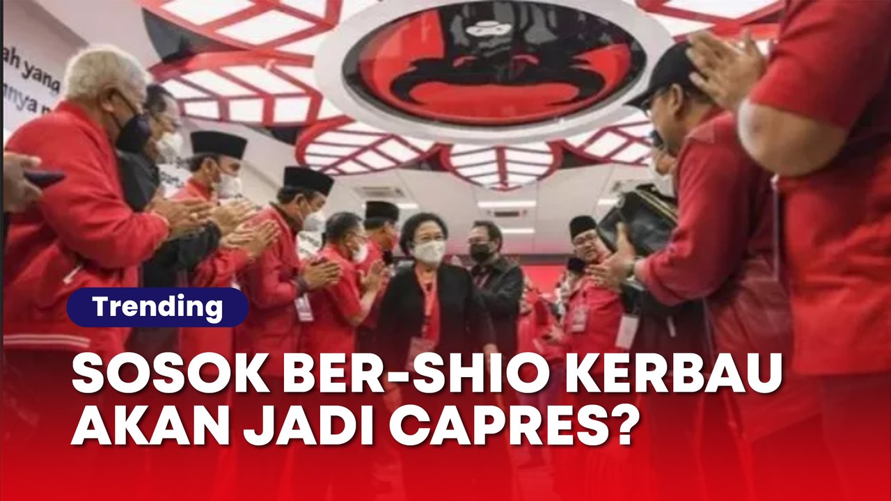 Bukan Ganjar, Sosok Ber-Shio Kerbau Seperti Tiga Presiden RI Ini Akan Diusung PDIP Jadi Capres?