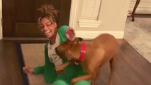 Overexcited Boxer dog gives big sister a proper welcome following her return from college