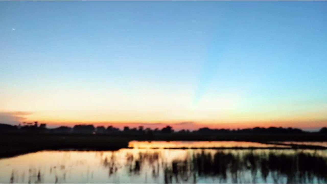 Beautiful SunsetClick by Me On the Road   Natural Beauty of Village and Paddy Fields   #village