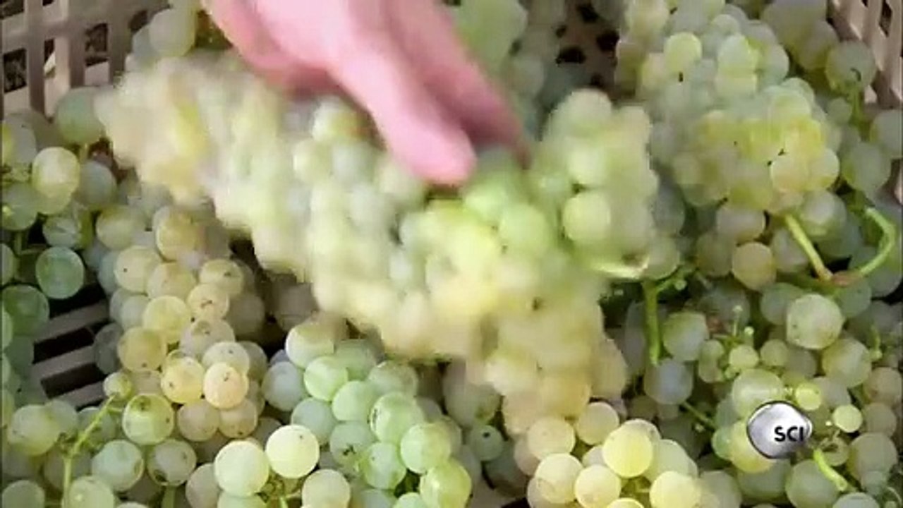 How It's Made - Se23 - Ep10 HD Watch