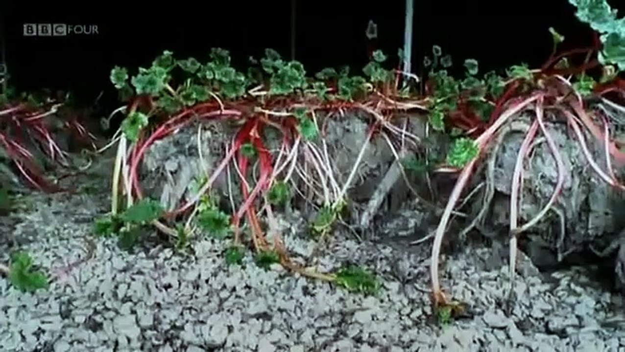 Great British Railway Journeys - Se2 - Ep14 HD Watch