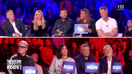 Le groupe Indochine annule sa venue au festival de Perpignan, ville RN