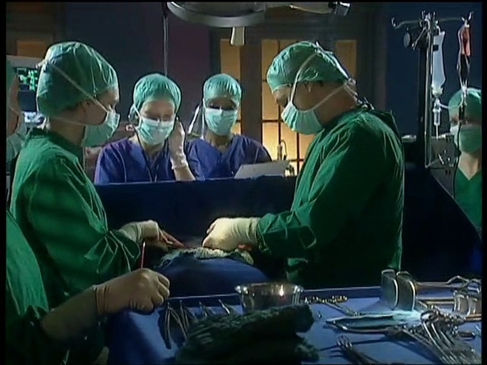 Alphateam - Die Lebensretter im OP Staffel 8 Folge 13