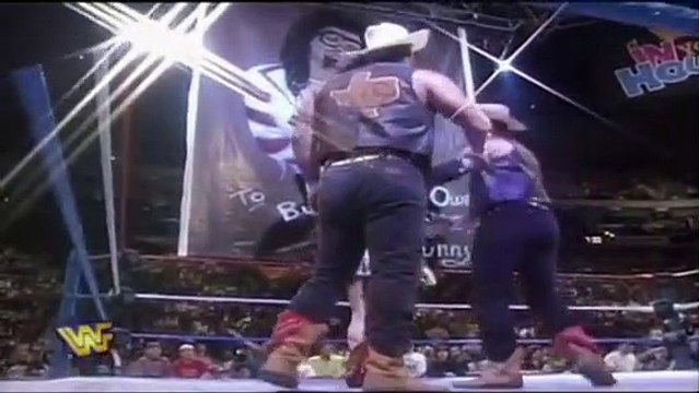 Owen Hart & The British Bulldog (w/Clarence Mason) Vs. The Smoking Gunns (c) (w/Sunny) (WWF Tag Team Championship)