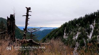 Nathia Gali in Winters ❄️ - 08 Best Snowy Places to See in Galiyat - Scenic Relaxation Film [4K]