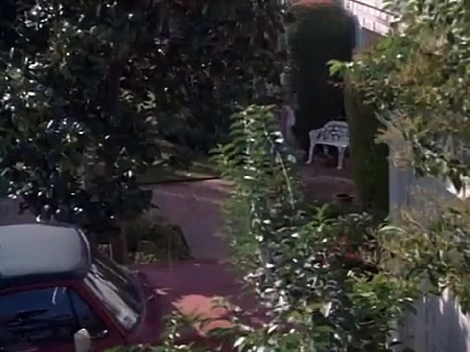 Simon $$ Simon - Se2 - Ep10 HD Watch