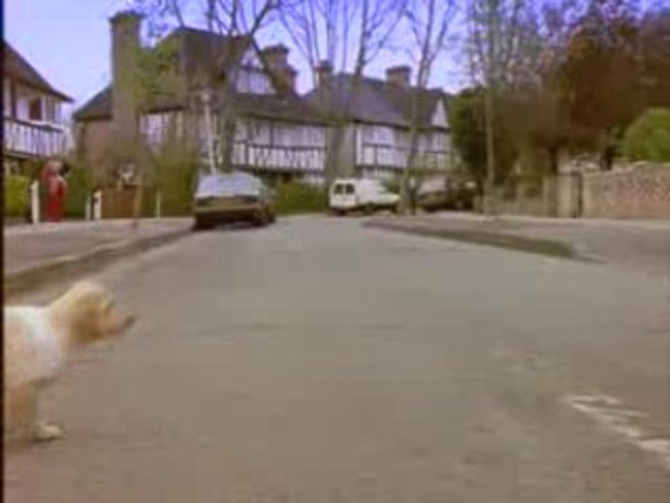 Y_veux_jouer_le_chienchien