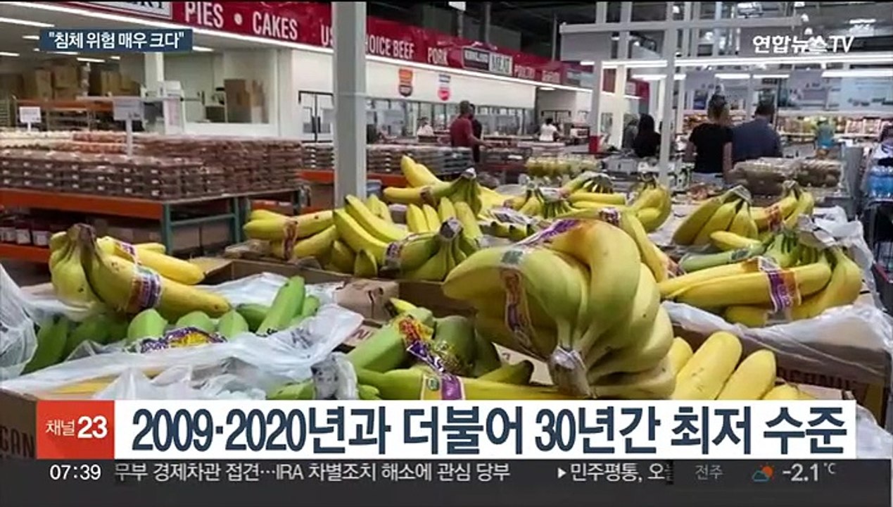 세계은행, 올해 성장률 대폭 하향…"침체위험 매우 커"