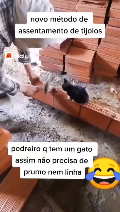 Status #718