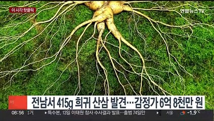 [핫클릭] '러시아 귀화' 쇼트트랙 빅토르 안, 국내 복귀 추진 外