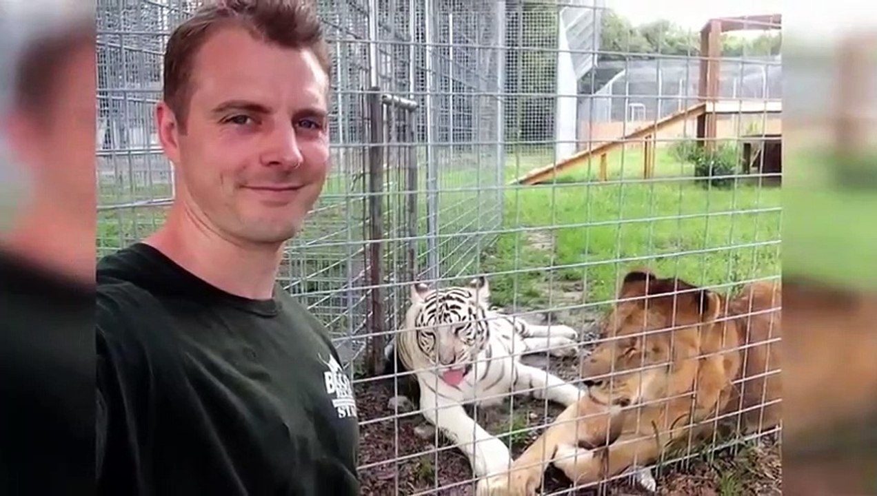 My cat from hell - se10 - ep01 - posey the trr hd watch