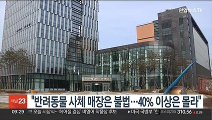 "반려동물 사체 매장은 불법…40% 이상은 몰라"