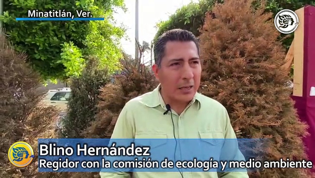 Esperan reciclar más de 500 árboles en Minatitlán