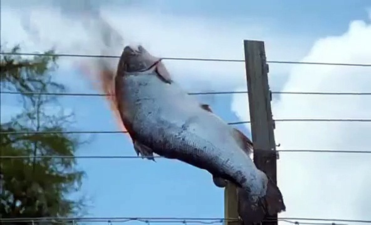 Monarch of the Glen - Se4 - Ep01 HD Watch