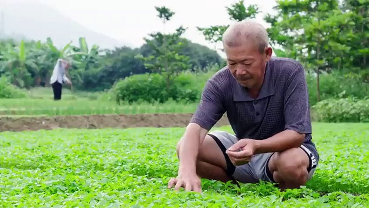 Flavorful Origins - Se1 - Ep20 HD Watch