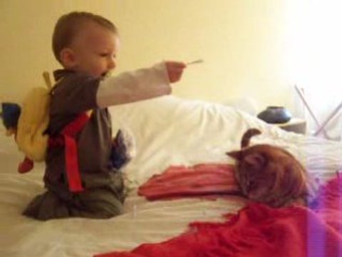 Robin monte sur le lit