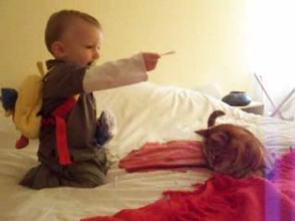 Robin monte sur le lit