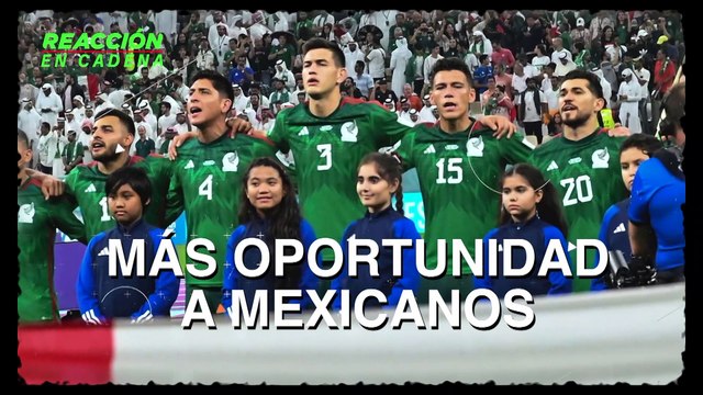 Tata Martino y su último informe sobre la Selección - Reacción en Cadena