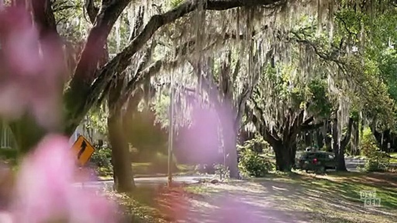 Mur-'der For Hire - Se2 - Ep03 - Daddy's Girl HD Watch