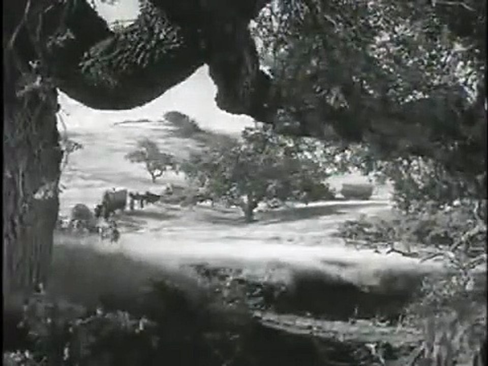 Wagon Train - Se3 - Ep37 HD Watch