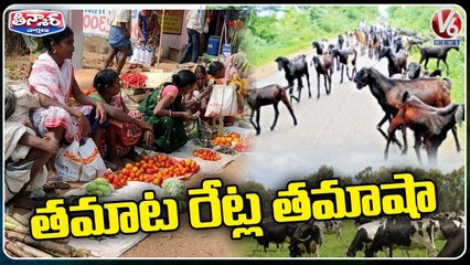 Tomato Farmers Facing Problems With Low Price In Markets | V6 Teenmaar