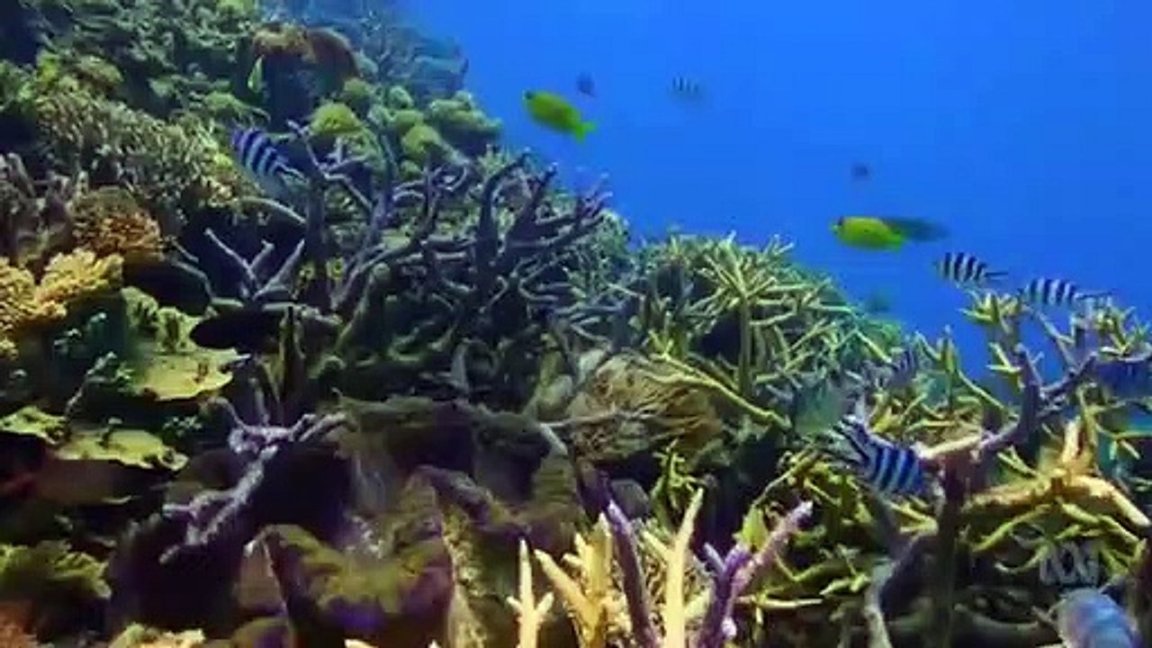 Catalyst - Se18 - Ep08 HD Watch