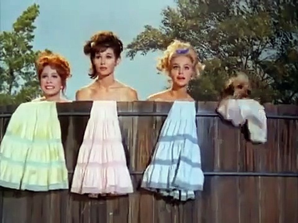 Petticoat Junction - Se3 - Ep02 HD Watch