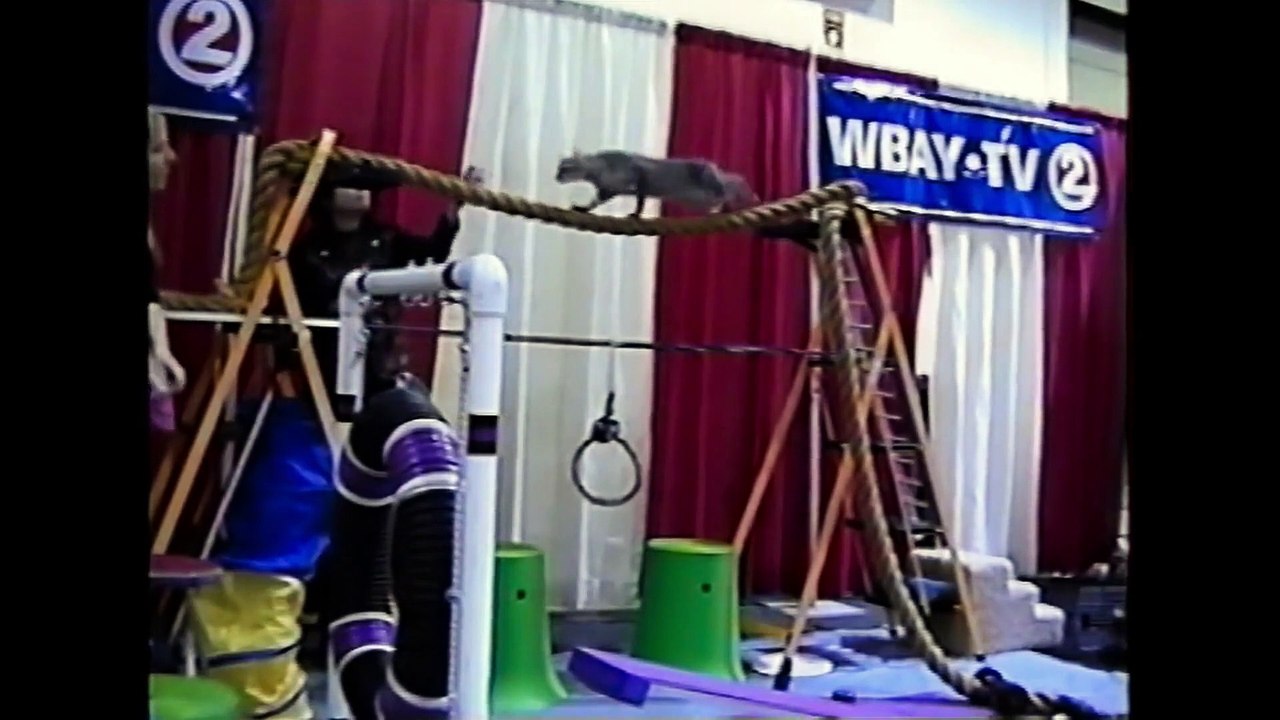 Cat People - Se1 - Ep02 HD Watch