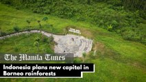 Indonesia plans new capital in Borneo rainforests