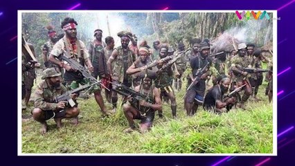 KKB Ngamuk, Kantor Dukcapil Oksibil Hangus Dibakar