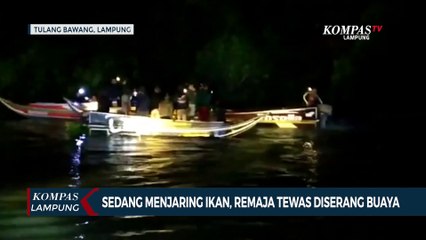 Remaja Tewas Diserang Buaya Saat Jaring Ikan