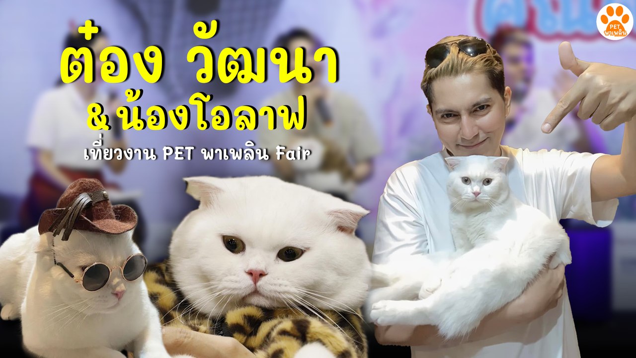 ต๋อง วัฒนา & น้องโอลาฟ เที่ยวงาน Pet พาเพลิน Fair