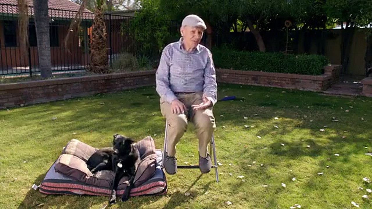 Explained - Se3 - Ep04 - Dogs HD Watch