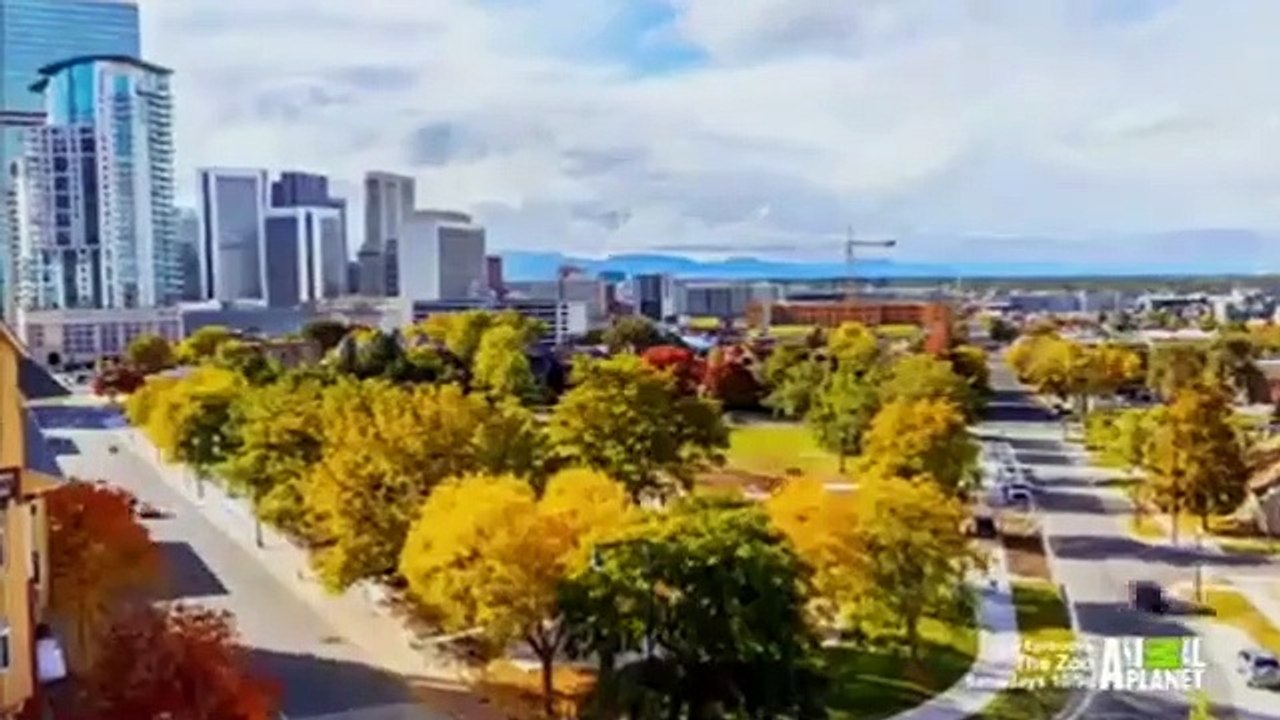 Dr. Jeff - Rocky Mountain Vet - Se3 - Ep03 HD Watch